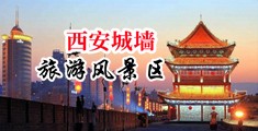 小骚逼被操到高潮视频中国陕西-西安城墙旅游风景区
